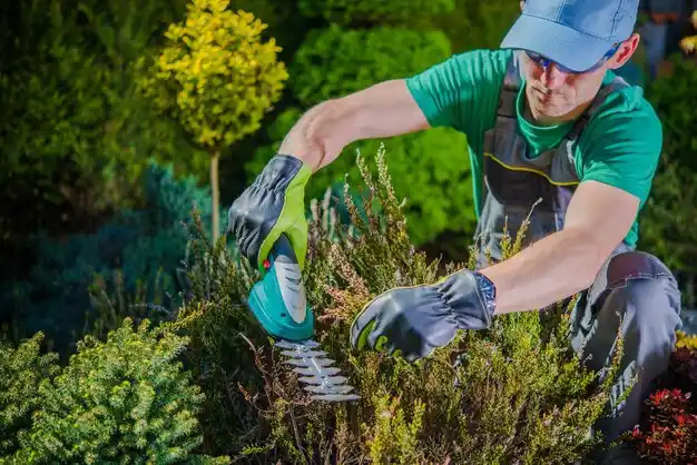 landscaping services Meridian